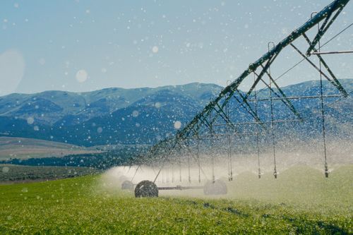 Center pivot irrigation system in a field with mountains in the distance