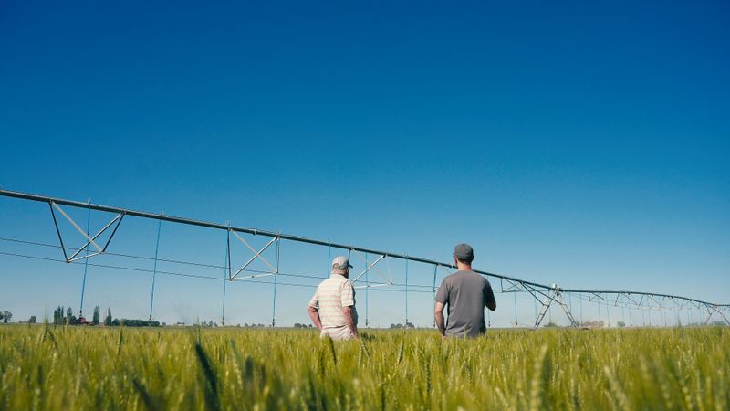 Two people walking through a green field under a center pivot irrigation system