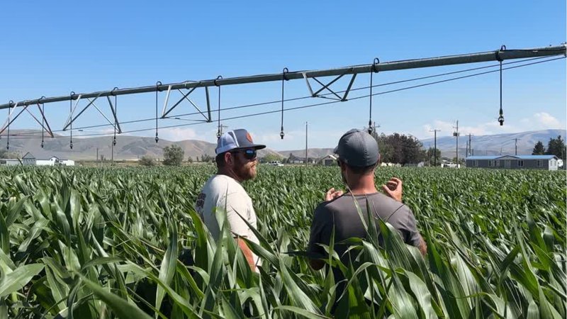 Technical advisor with dealer or grower in the field