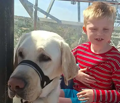 A young child in a red striped shirt sits beside a yellow Labrador wearing a head harness, with a scenic view in the background.