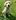 A young Labrador retriever sitting on grass, looking attentively at the camera.