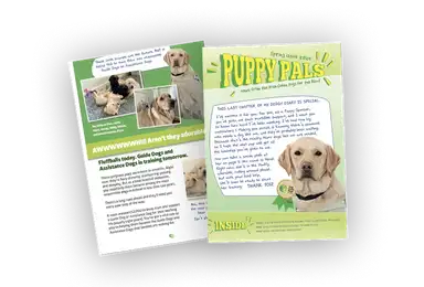 A Spring 2024 issue of "Puppy Pals" magazine featuring stories about Irish Guide Dogs for the Blind, with photos of yellow Labrador puppies in training and articles about their dev