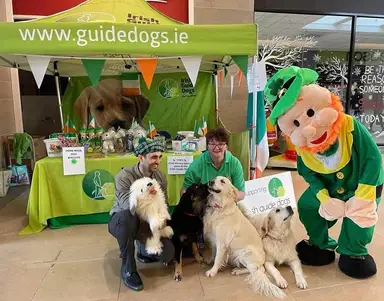 People and dogs at a guide dog charity stall pose with a person in a leprechaun costume. The stall features dog-related items and decorations.