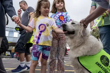 Two children with face paint and ribbons pet a white dog wearing an "Ambassador Dog" vest.