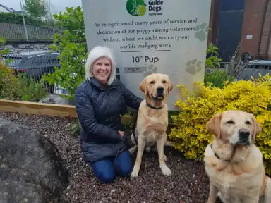 Deirdre kneels beside two Labrador retrievers in front of a guide dog dedication sign, surrounded by greenery and rocks.