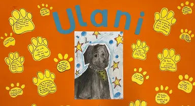 Orange poster featuring a drawing of Ulani, surrounded by yellow paw prints containing positive messages.