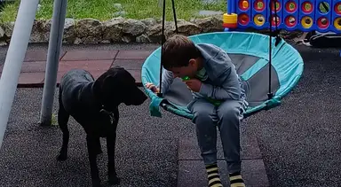 A young child sits in a turquoise swing while a black dog stands nearby on a playground with colorful play structures in the background.