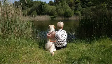 # Alt Text A child in a polka dot shirt sits by a lake with a white dog, both gazing at the water surrounded by reeds and trees.
