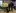 John Gannon (Branch Treasurer), Tom Langan & Guide Dog Lady, Michelle Stephenson (Assistant Secretary), Kevin Quinn (Branch Chairman) standing in a hospitality area with tables and chairs behind them