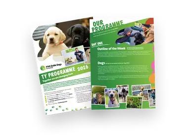 A brochure for Irish Guide Dogs for the Blind's 2026 TY Programme features guide dogs, program details, and photos of participants engaged in training and community activities.