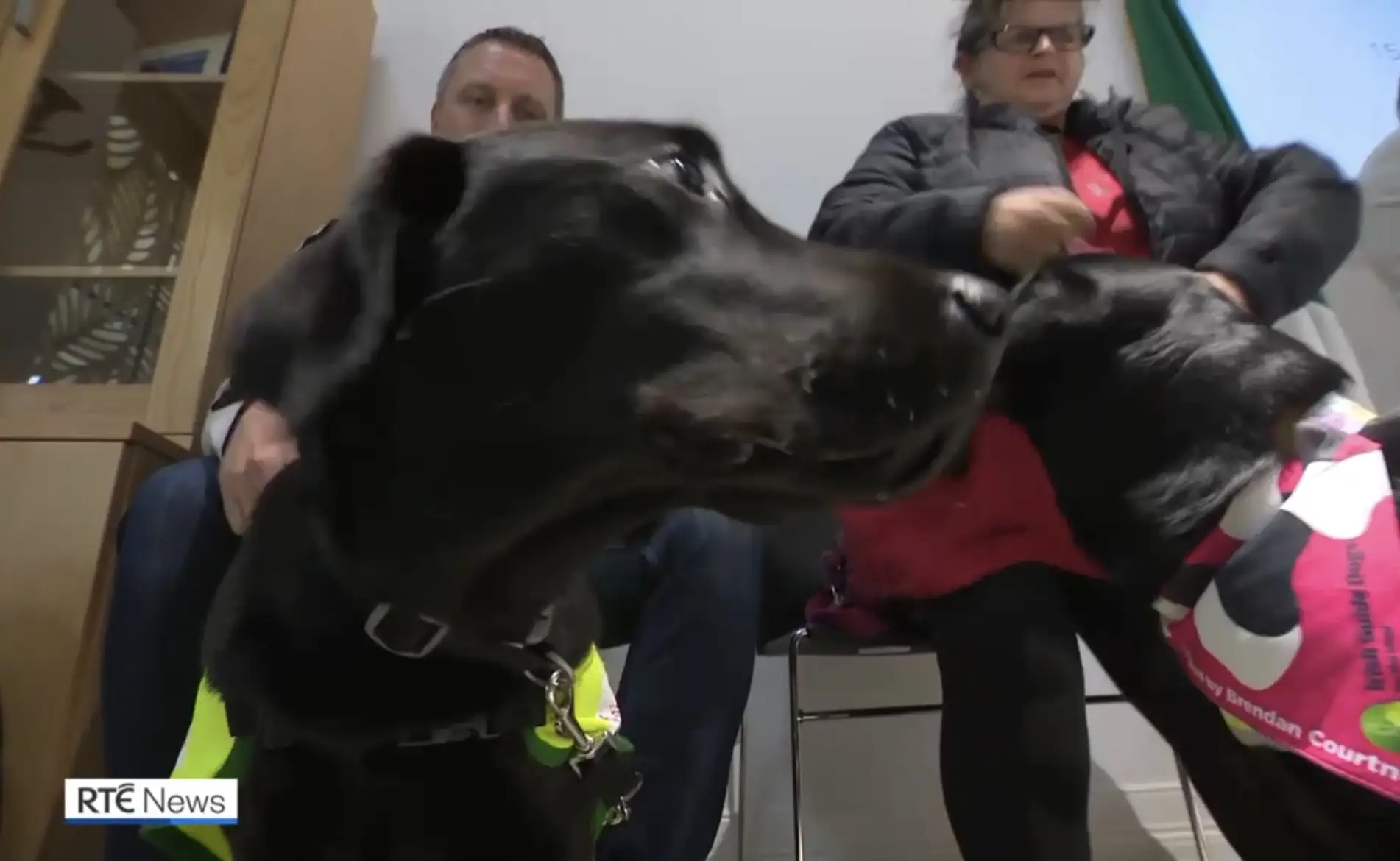 Click to view RTE News clip