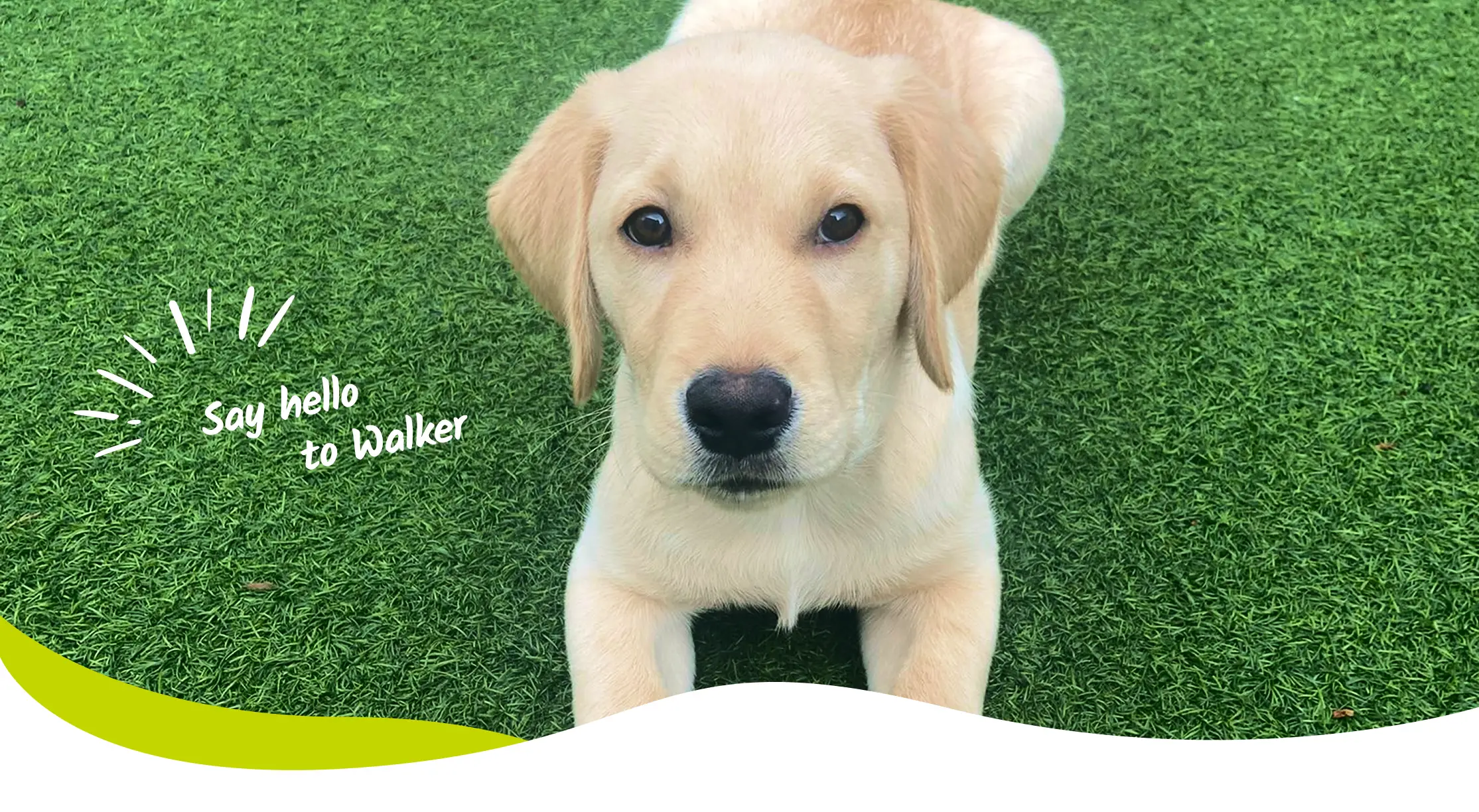 Walker