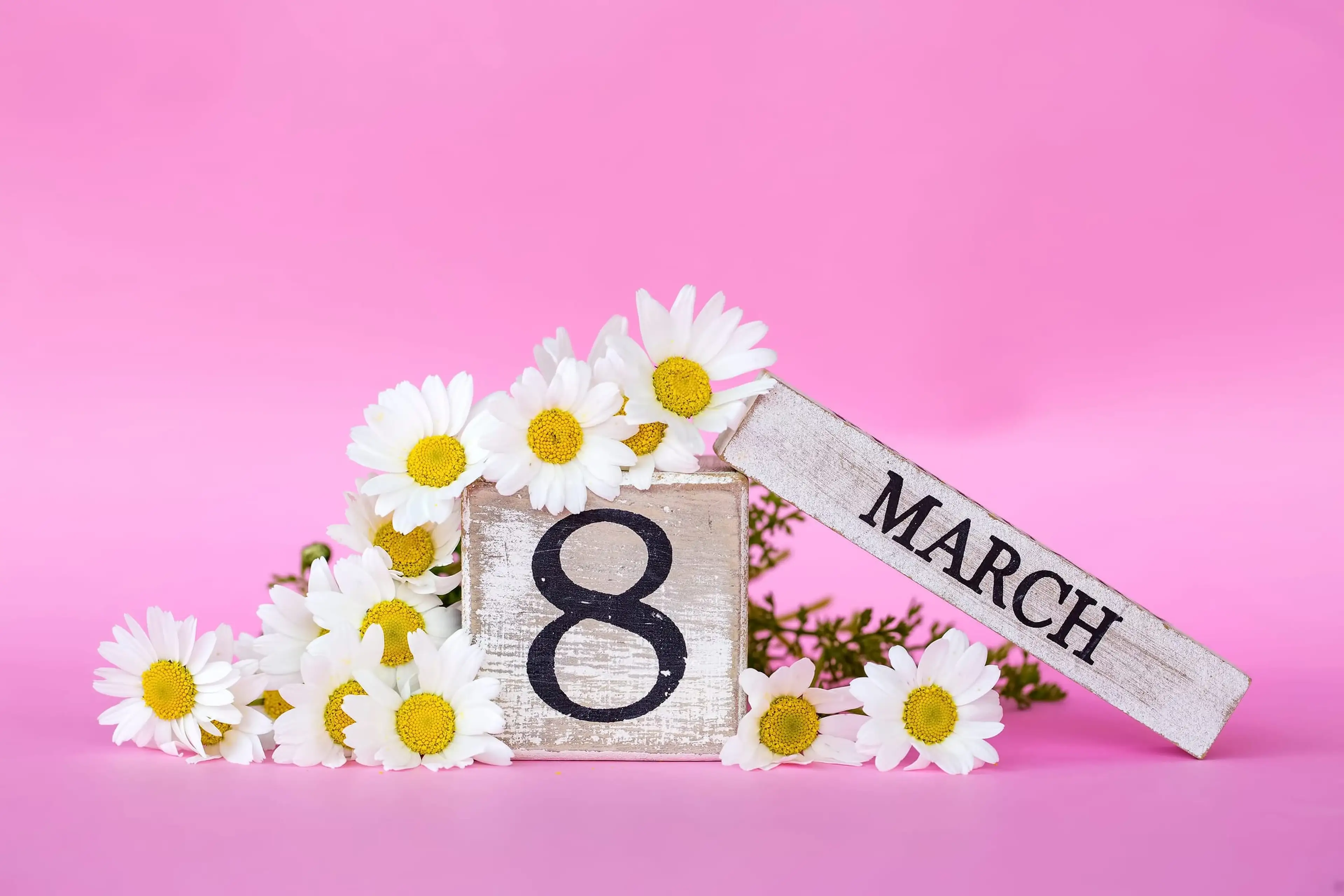 A wooden calendar block displaying "8" with "MARCH" written on an angled wooden plank, surrounded by white daisies with yellow centers on a bright pink background.