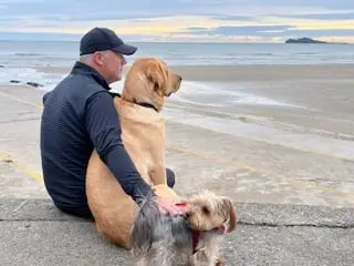 Man sitting with two dogs on a beachside walkway, gazing at the ocean under a cloudy sky.
