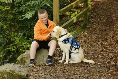 A boy in an orange jacket sits on a rock, patting a yellow service dog with a blue vest, surrounded by leafy greenery.