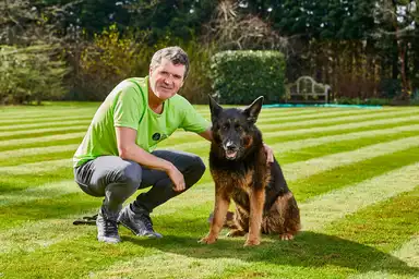 A man in a lime green t-shirt crouches beside a black and tan German Shepherd on a striped lawn, with trees and a garden bench visible in the background.