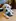 A white Labrador Retriever lies on a wooden floor with blue toys, looking at the camera with a calm expression while a playpen and toys are visible in the background.