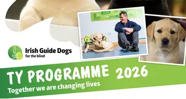 A promotional image for Irish Guide Dogs for the Blind's 2026 TY Programme showing a trainer with a guide dog in training and a close-up of a yellow Labrador, with the tagline "Tog