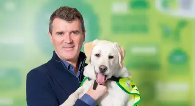 Man holding a happy Labrador puppy wearing a green vest, set against a blurred green background.