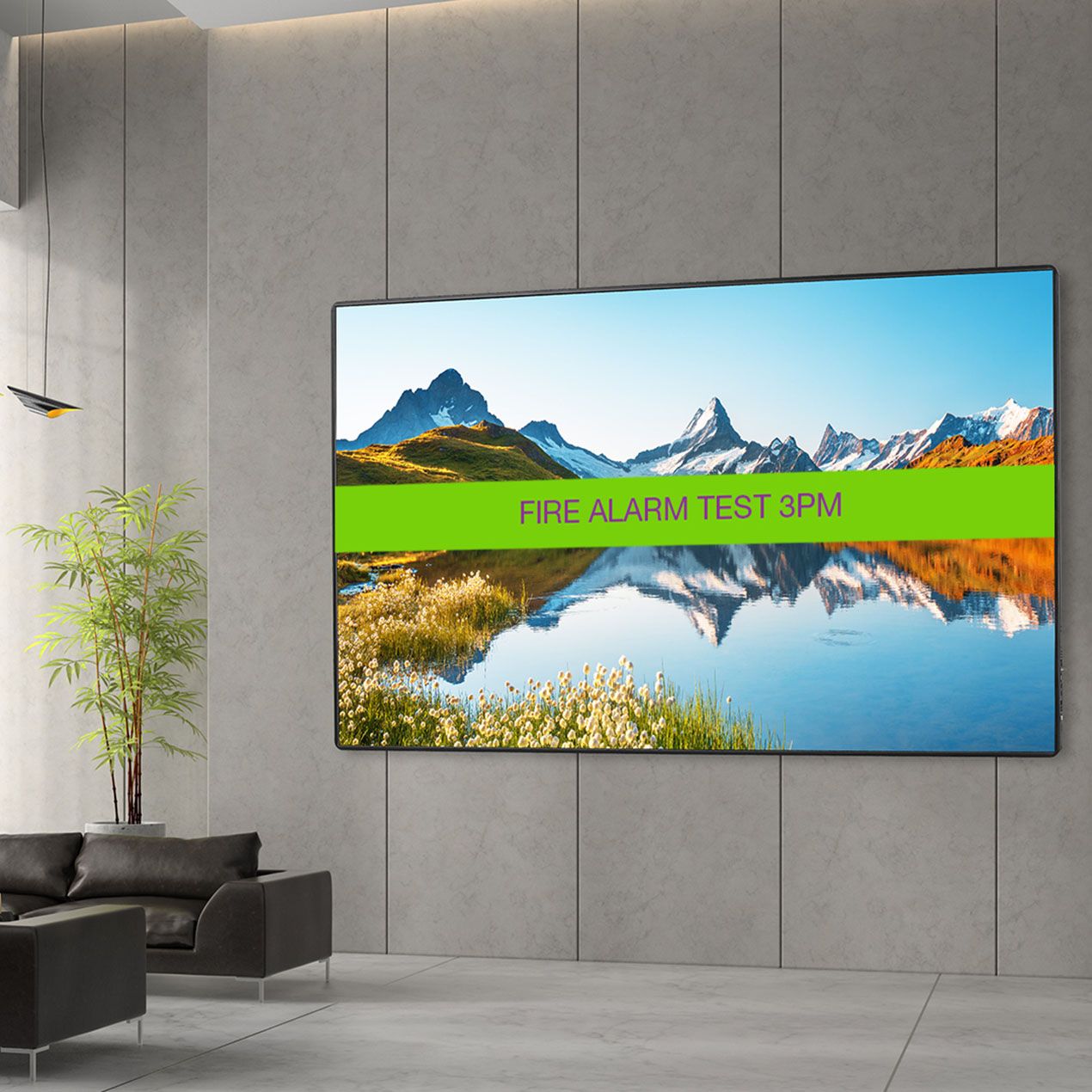 Optoma Professional Displays