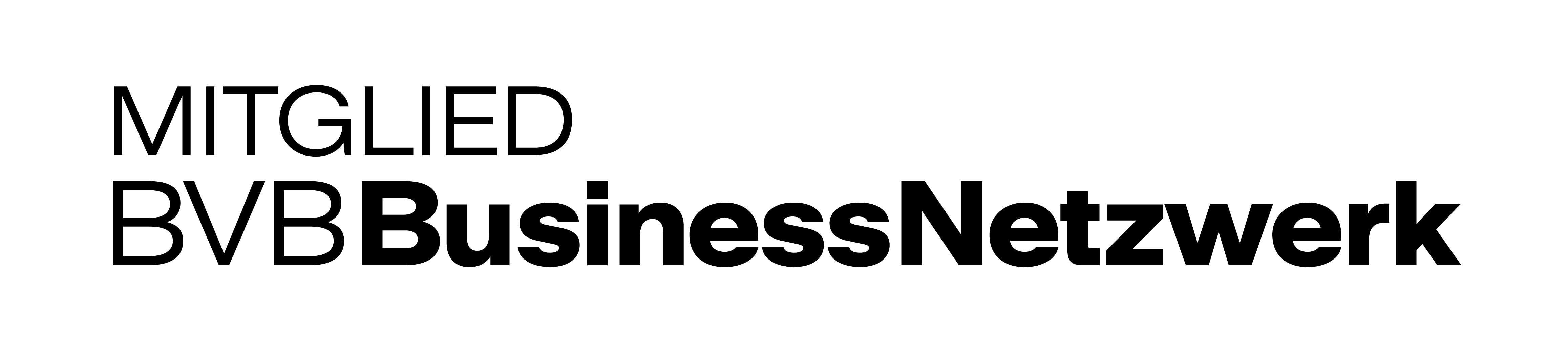 BVB BusinessNetzwerk