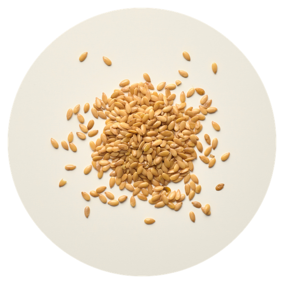 Sprouted golden linseed