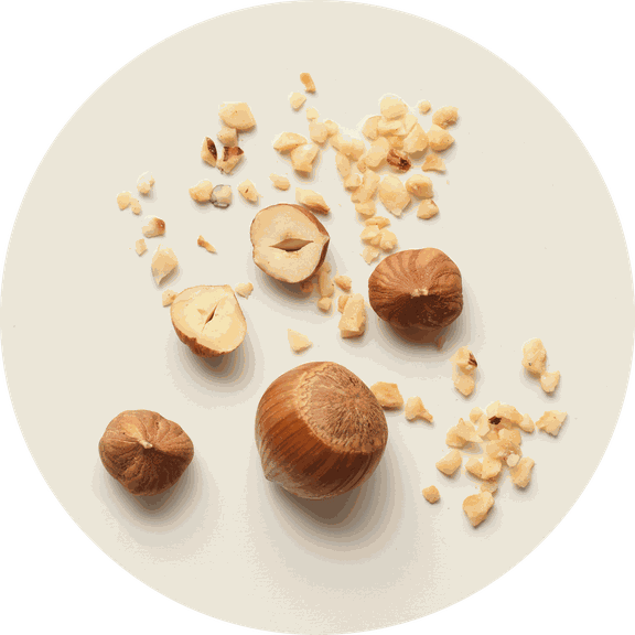 Roasted hazelnuts