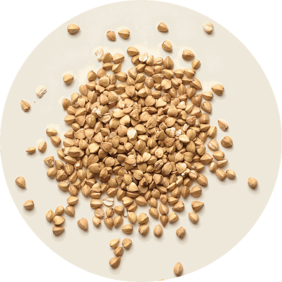 Sprouted buckwheat