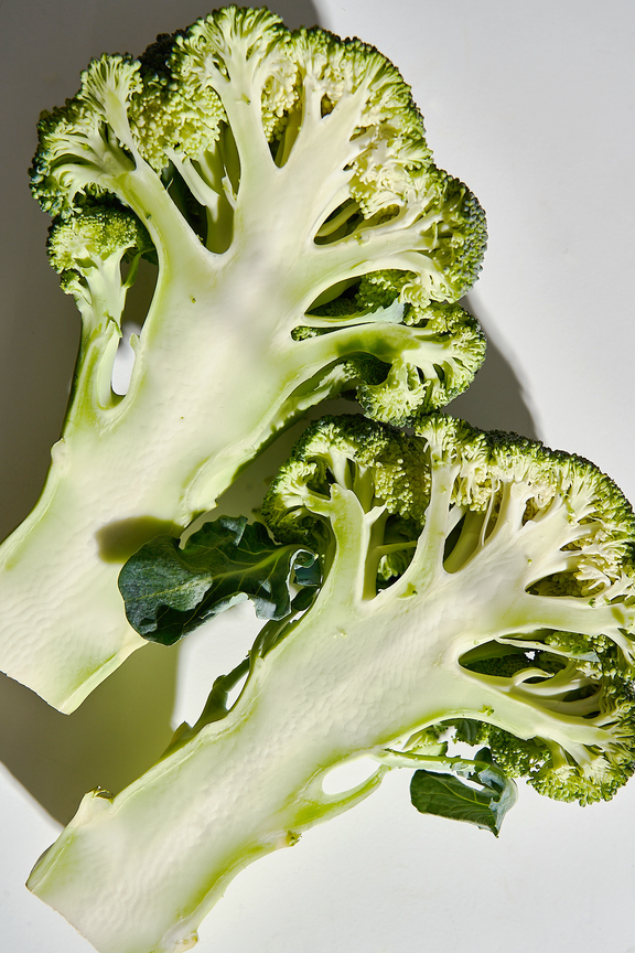 Plant-based Protein