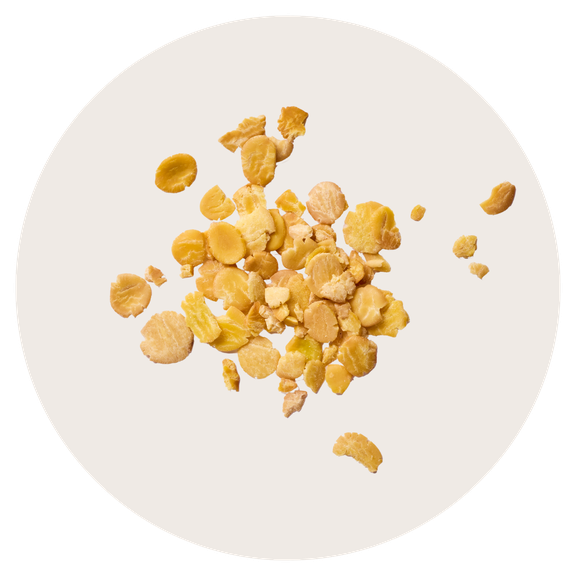 Soy flakes