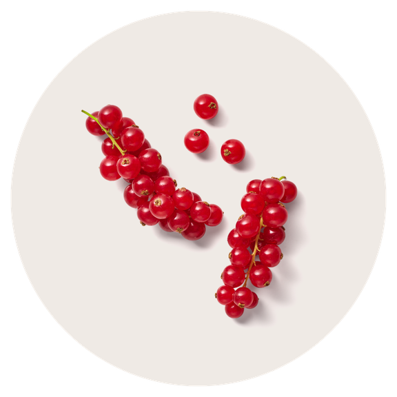 Blackcurrants