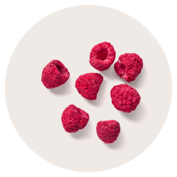 Freeze-dried raspberries