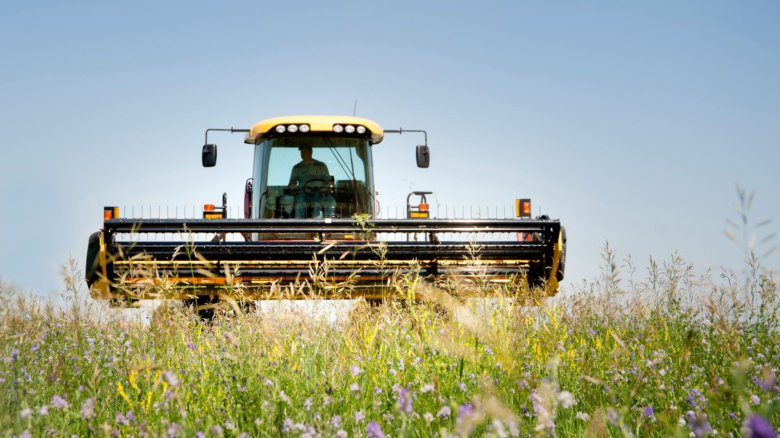 Regenerative Landwirtschaft