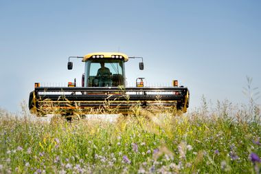 Ein Traktor vor einem Blühstreifen an einem Feld