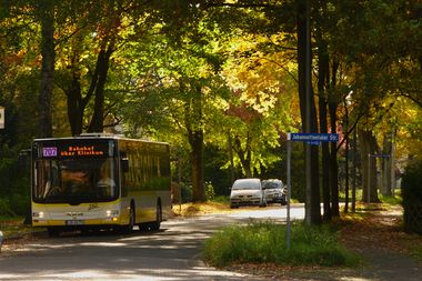 Ein Bus fährt durch eine Straße die von herbstlichen Bäumen gesäumt ist.