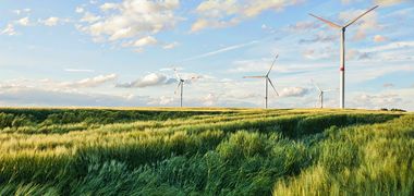 Windräder stehen zwischen grünen Feldern im Abendlicht