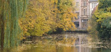 Ein kleiner See umrahmt von herbstlichen Bäumen, Häuser im Hintergrund.