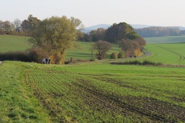 Menschen wandern entlang grüner Felder.