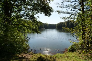 Ein See ist umsäumt von Bäumen