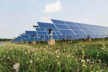 Ein Solarpark auf freiem Feld