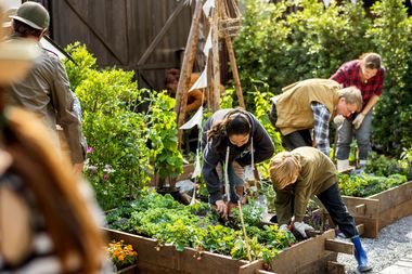 Menschen arbeiten an Hochbeeten