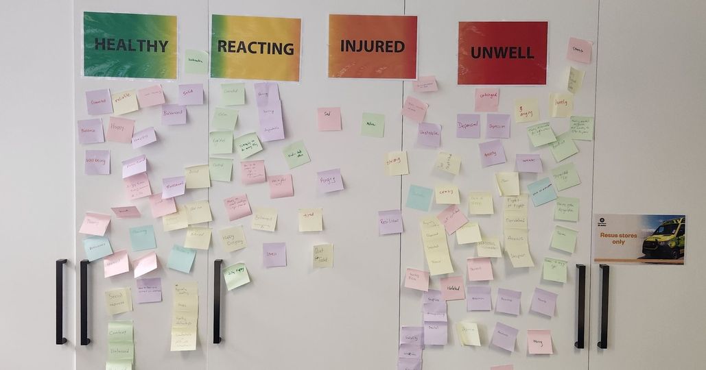 Mental Health First Aid (photo 2)