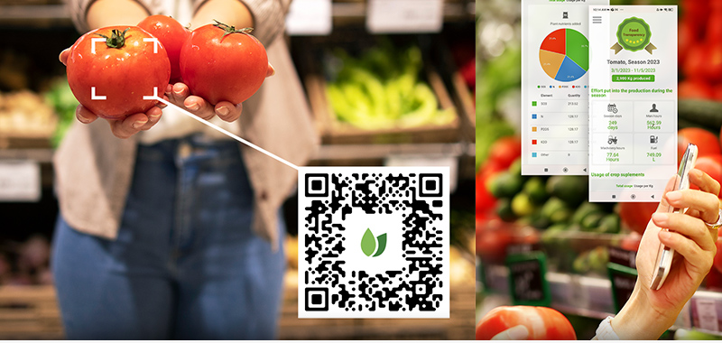 VeggiTech case study