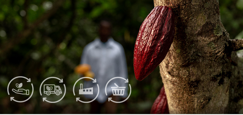 Procesadora Tropical case study