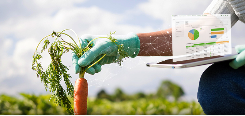 Kvedaru Ukis case study