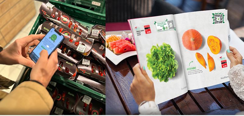 Kaufland Croatia case study