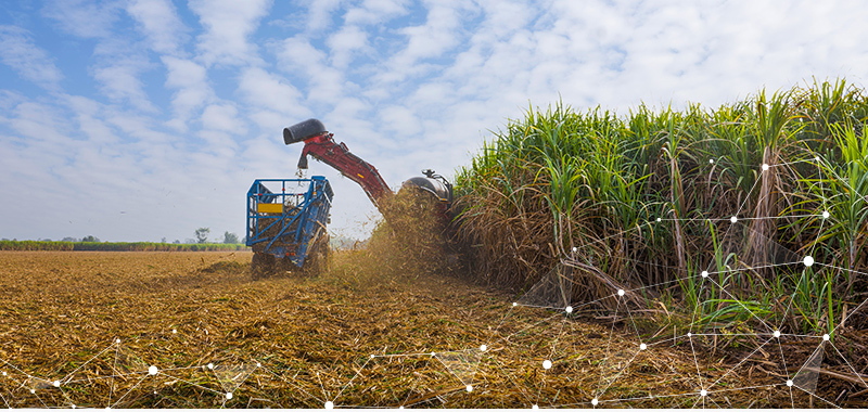 BAMC Barbados case study