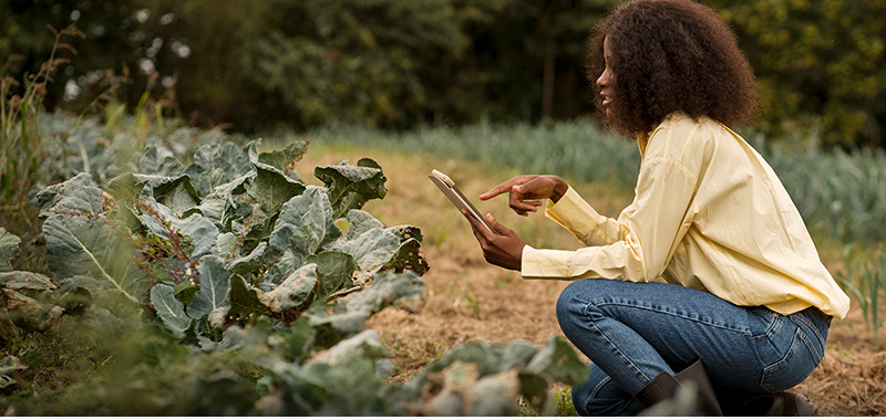 AG Horticulture case study