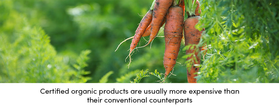bush of carrots with soil just after being picked