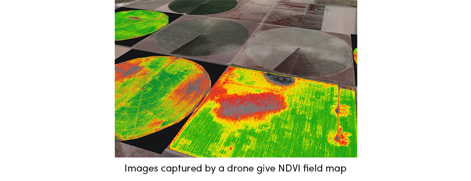 Drone NDVI